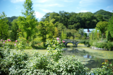 f0214858_11221819.jpg