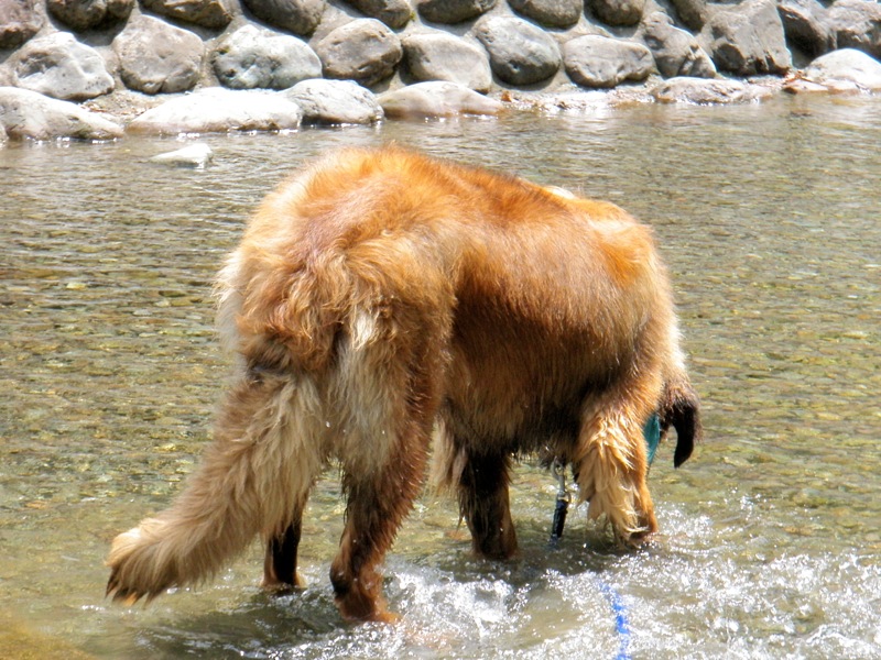 f0171559_2259194.jpg