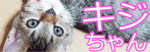 a0116866_18312445.gif