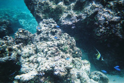 c0215469_16293964.jpg
