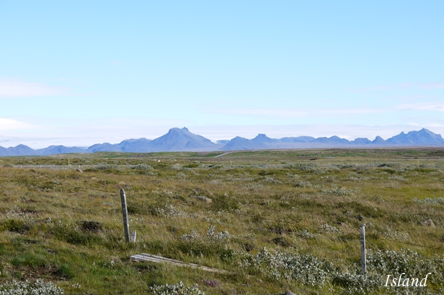 f0183171_22491010.jpg