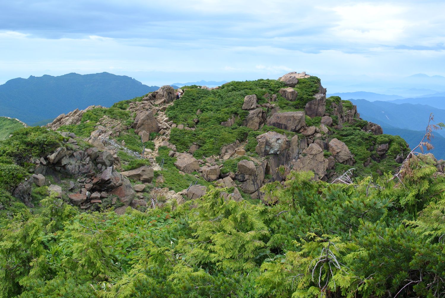 e0307372_149160.jpg