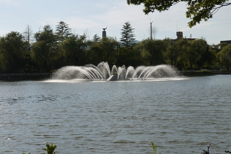c0283778_17414277.jpg