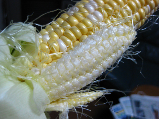 b0003280_21534625.jpg