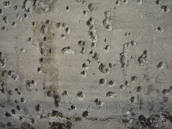 c0016380_8102490.jpg