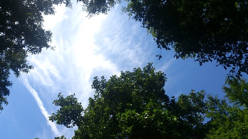 f0014183_15583960.jpg