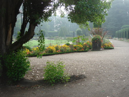 a0247585_5474059.jpg