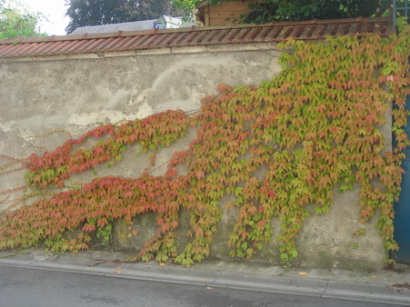 a0247585_5504071.jpg