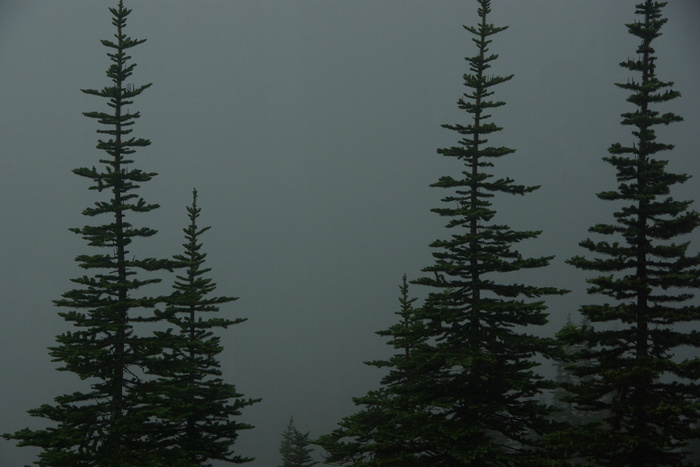 f0268294_23213220.jpg