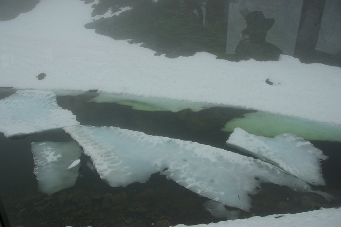 f0268294_23233698.jpg