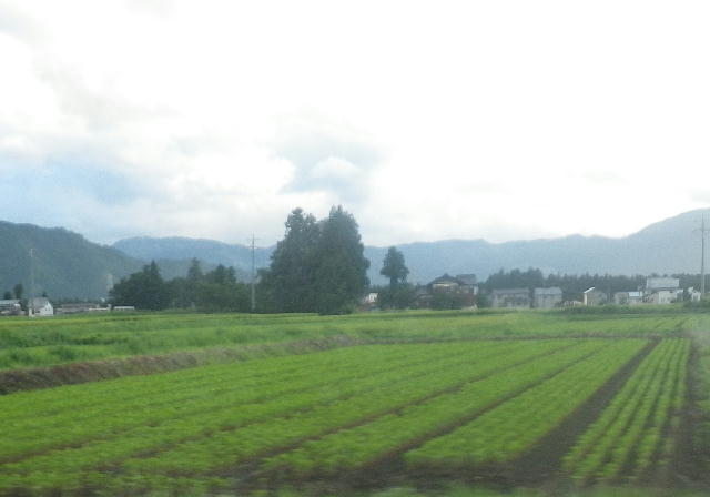 b0172209_2384872.jpg