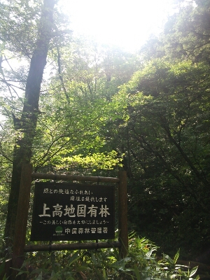 b0042512_20383056.jpg