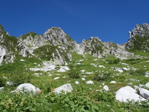 d0100314_17173664.jpg