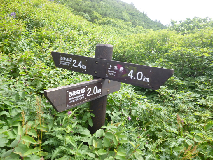 d0170615_11512880.jpg