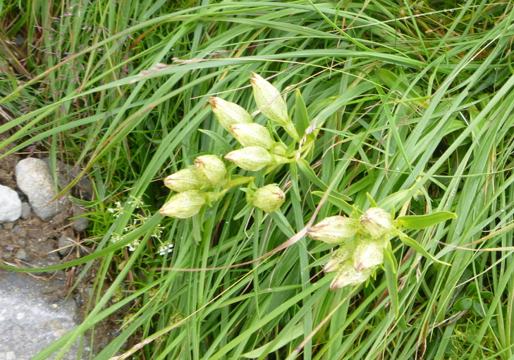 d0170615_11515475.jpg