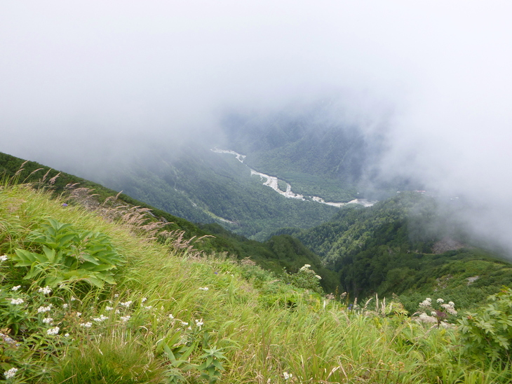 d0170615_1152381.jpg