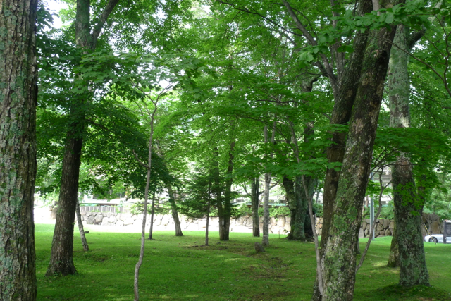 e0157816_1343243.jpg