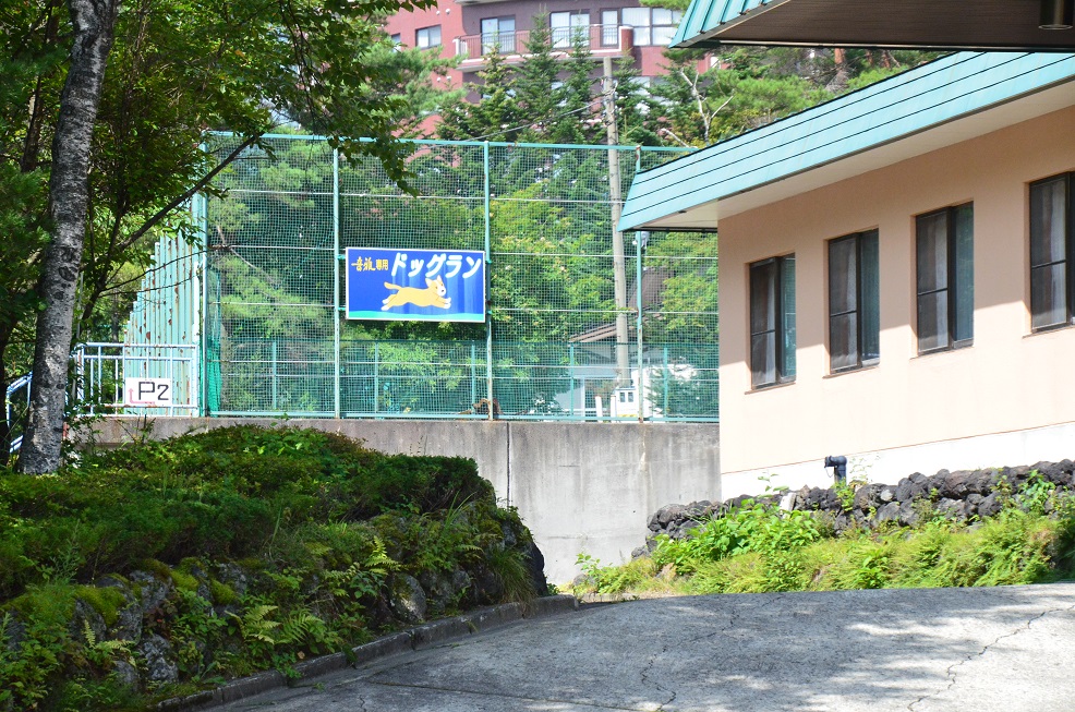f0124830_033285.jpg