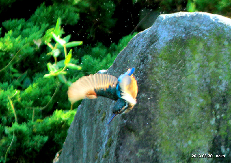 f0281533_18242367.jpg