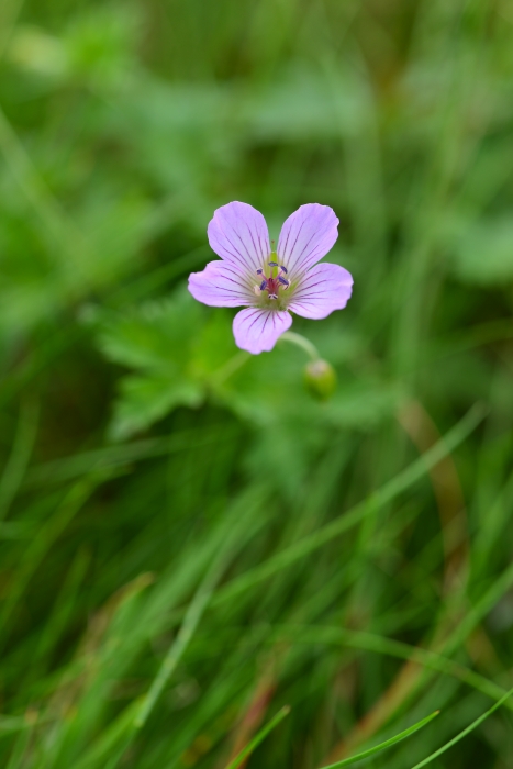 b0236334_20511144.jpg