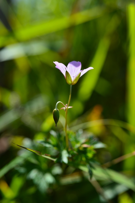 b0236334_2051650.jpg