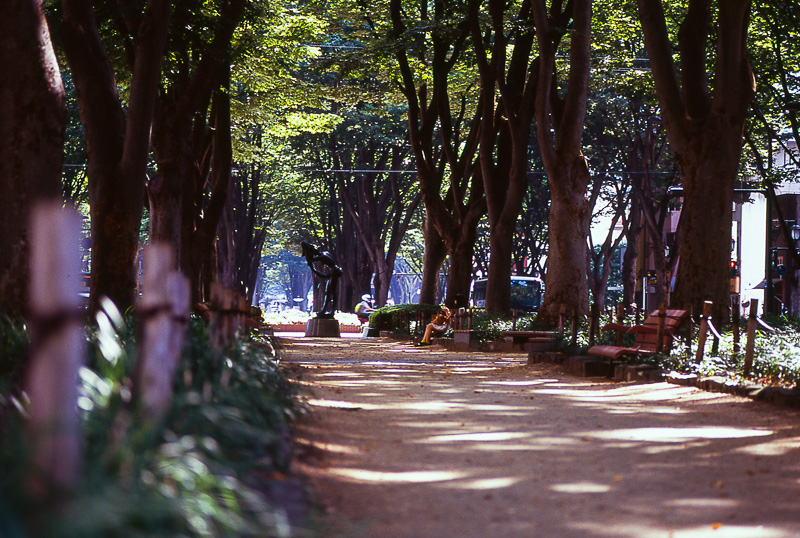 f0265234_22322587.jpg
