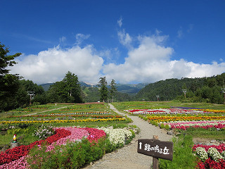 f0065341_10433435.jpg