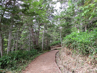 f0065341_10443324.jpg