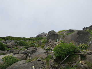f0065341_104975.jpg