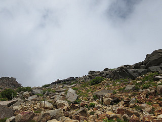 f0065341_10502881.jpg