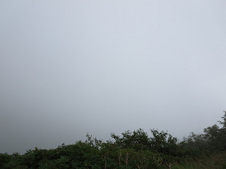 f0065341_12541282.jpg