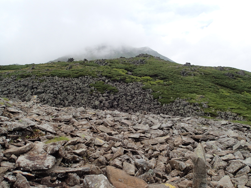 b0190242_22471746.jpg