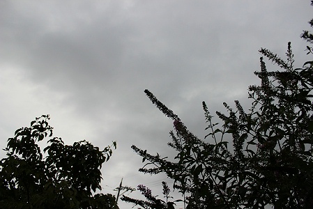 a0243143_1994217.jpg