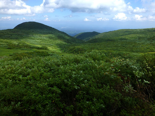 c0081645_002530.jpg