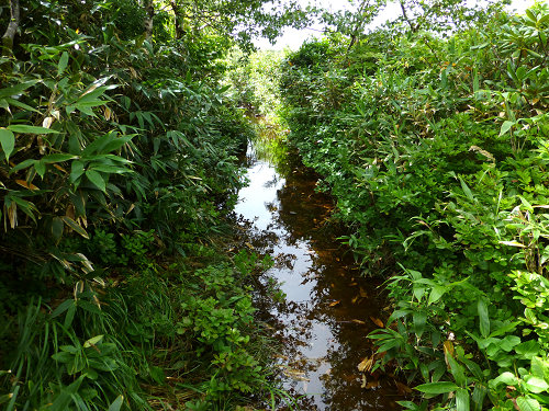 c0081645_23444426.jpg