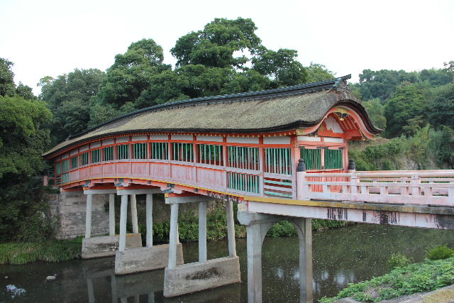 c0011649_8175159.jpg