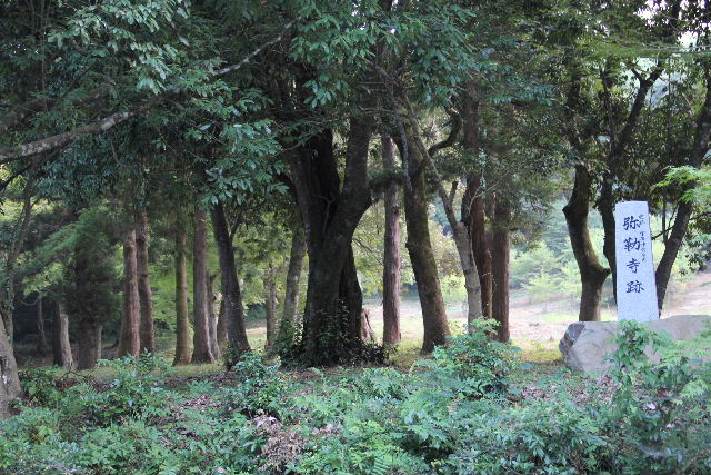 c0011649_8242014.jpg