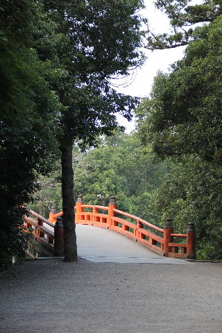 c0011649_8261871.jpg