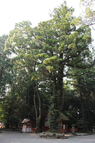 c0011649_892948.jpg