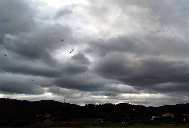 f0214649_7122672.jpg