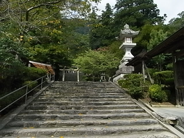a0146070_612728.jpg
