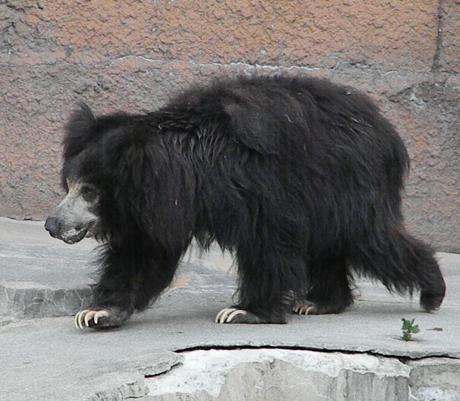 b0014576_215089.jpg