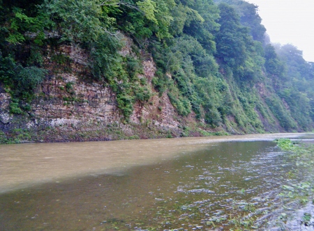 d0170077_821292.jpg