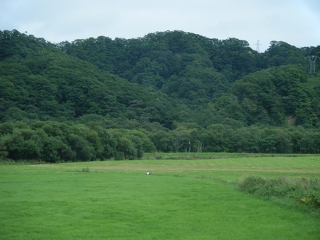 d0170077_8344248.jpg
