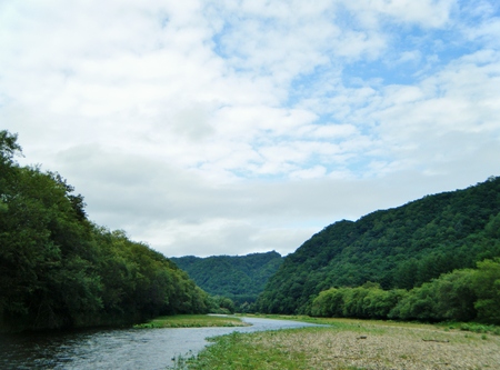 d0170077_8364576.jpg