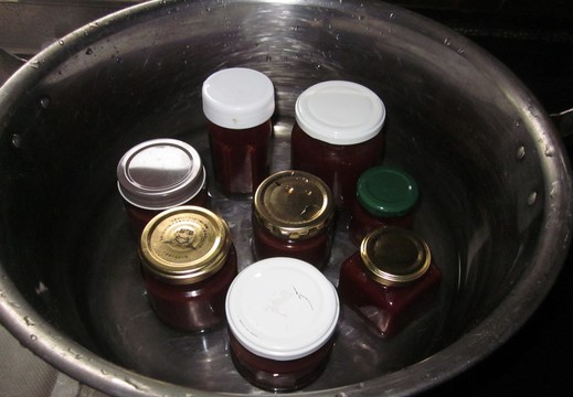 c0168584_10554221.jpg