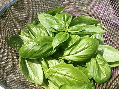 c0209284_1193831.jpg