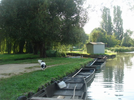 a0247585_15411160.jpg