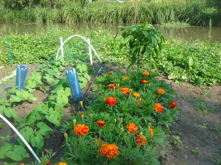 a0247585_15501669.jpg