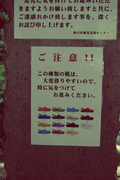 b0086098_1110166.jpg